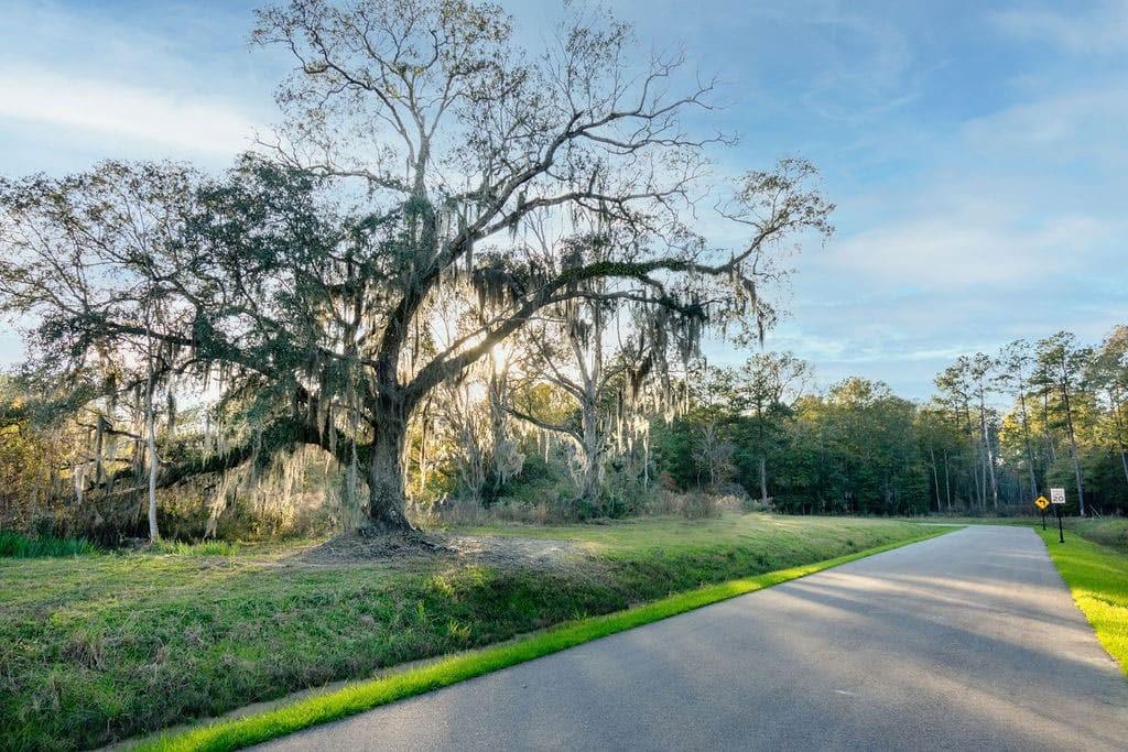 12709 CROSSVINE Drive, Covington, LA 70433
