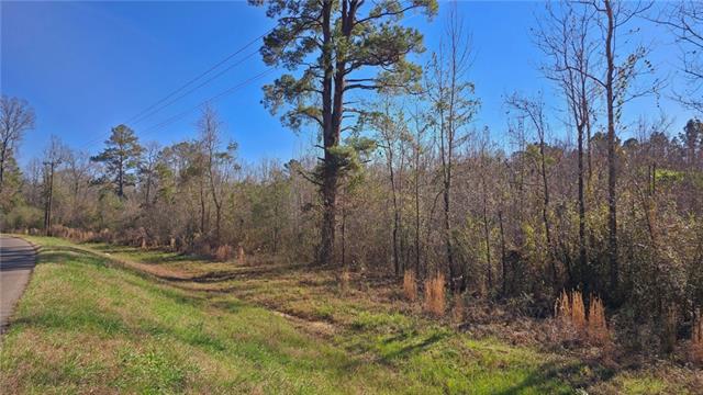 0 HWY 1207 Highway, Deville, LA 71328