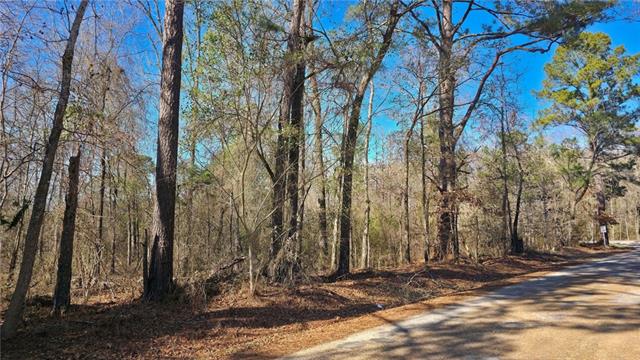 0 HWY 1207 Highway, Deville, LA 71328