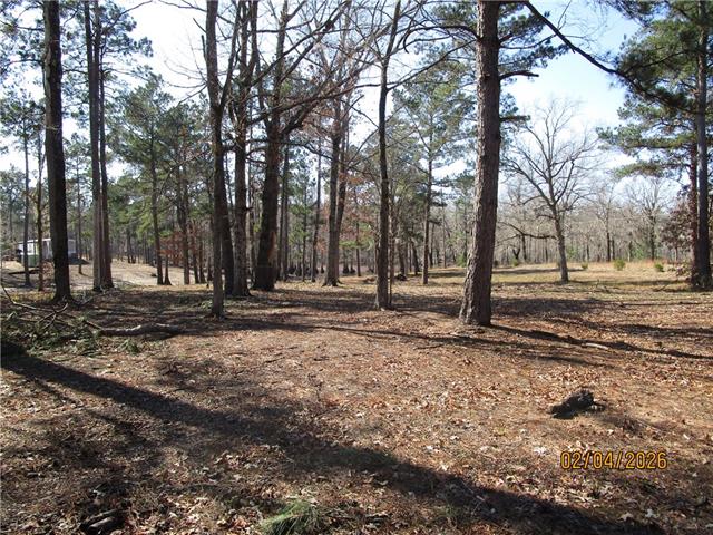 TBD HOG ISLAND SPUR Road, Dry Prong, LA 71423