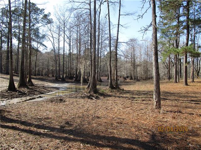 TBD HOG ISLAND SPUR Road, Dry Prong, LA 71423