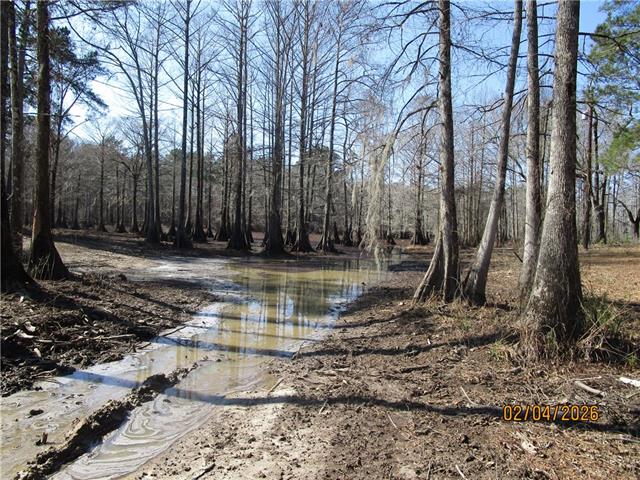 TBD HOG ISLAND SPUR Road, Dry Prong, LA 71423