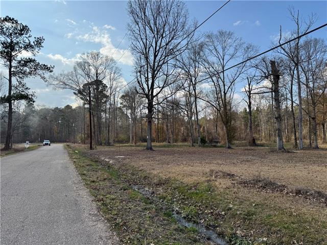 Tract 2-B E SHADOW LAKE Drive, Holden, LA 70744