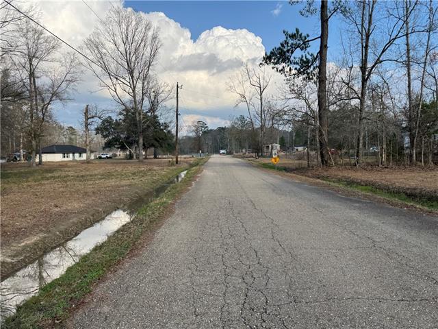 Tract 2-B E SHADOW LAKE Drive, Holden, LA 70744