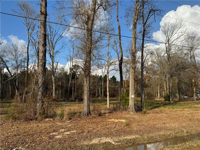 Tract 2-B E SHADOW LAKE Drive, Holden, LA 70744