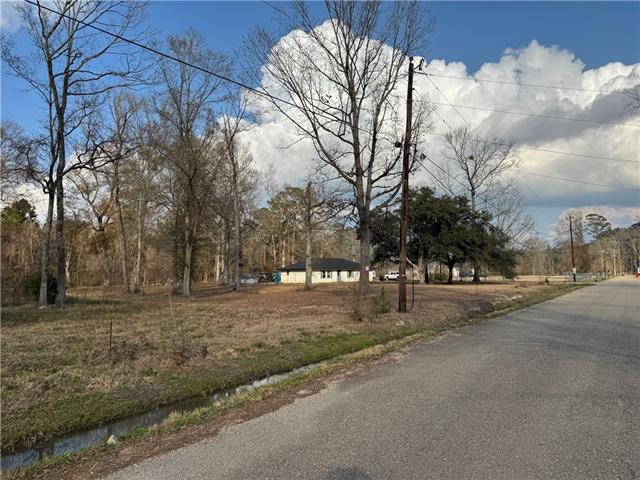 Tract 2-B E SHADOW LAKE Drive, Holden, LA 70744