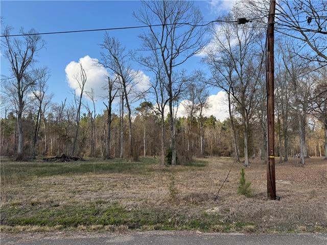 Tract 2-B E SHADOW LAKE Drive, Holden, LA 70744