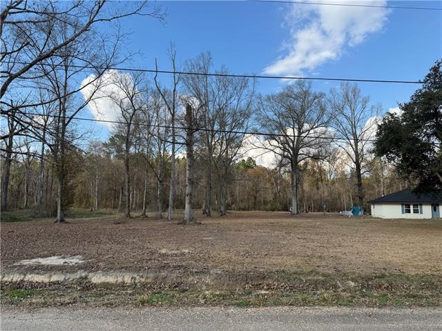 Tract 2-B E SHADOW LAKE Drive, Holden, LA 70744