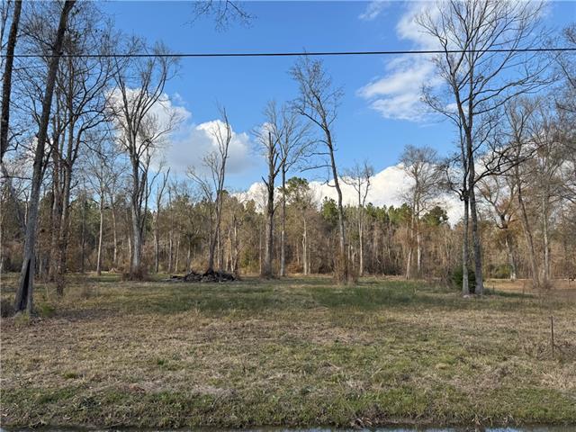 Tract 2-C E SHADOW LAKE Drive, Holden, LA 70744