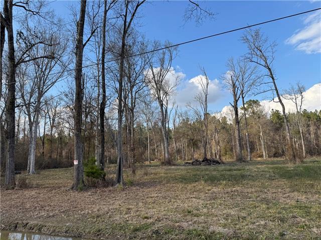 Tract 2-C E SHADOW LAKE Drive, Holden, LA 70744