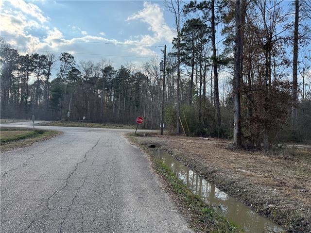 Tract 2-C E SHADOW LAKE Drive, Holden, LA 70744