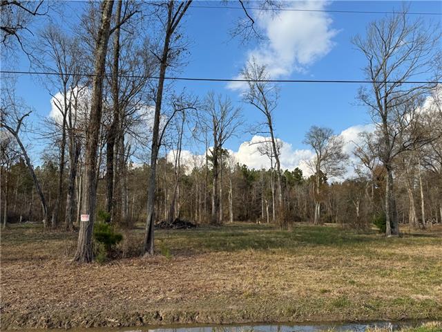 Tract 2-C E SHADOW LAKE Drive, Holden, LA 70744