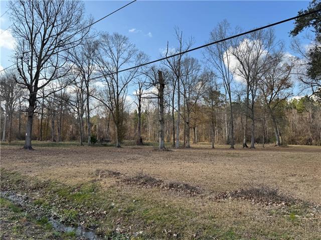Tract 2-C E SHADOW LAKE Drive, Holden, LA 70744
