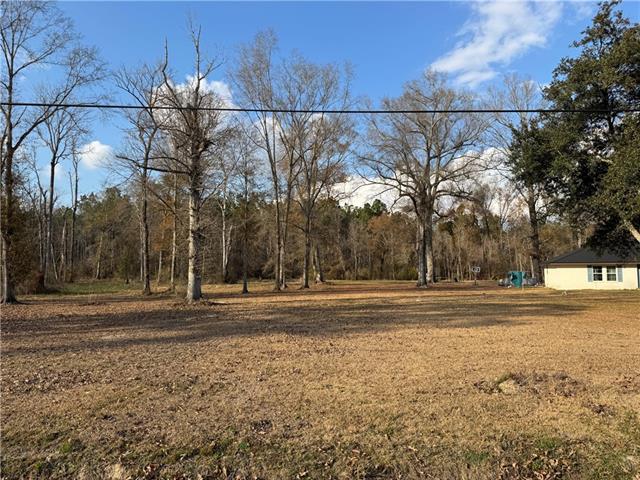 Tract 2-C E SHADOW LAKE Drive, Holden, LA 70744