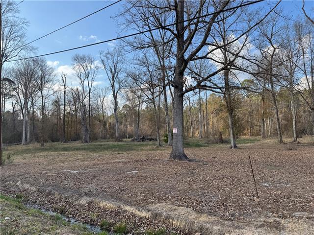 Tract 2-C E SHADOW LAKE Drive, Holden, LA 70744