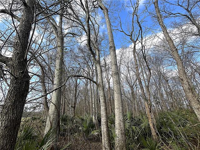 N BAYOU DE GLAISES Road, Moreauville, LA 71355