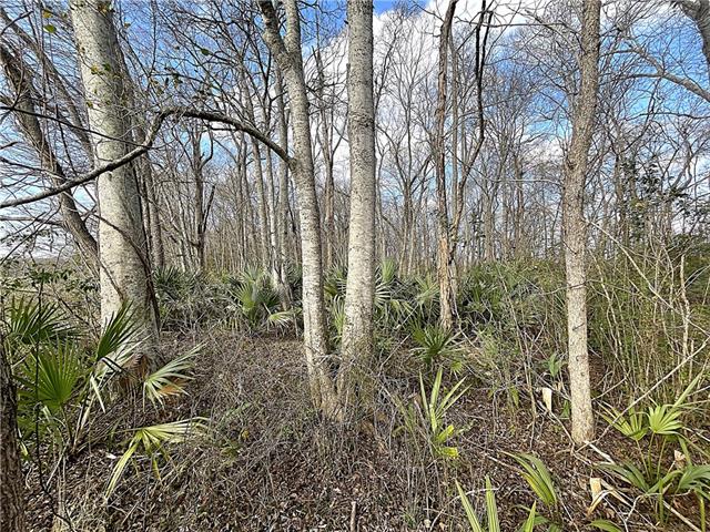 N BAYOU DE GLAISES Road, Moreauville, LA 71355