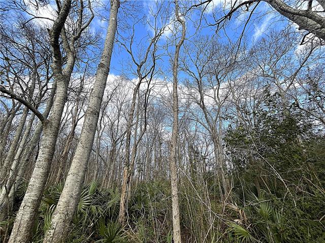 N BAYOU DE GLAISES Road, Moreauville, LA 71355