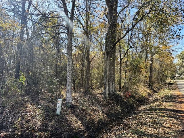 561 COLBERT (LIVINGSTON CORNER) 35 Street, Mandeville, LA 70448