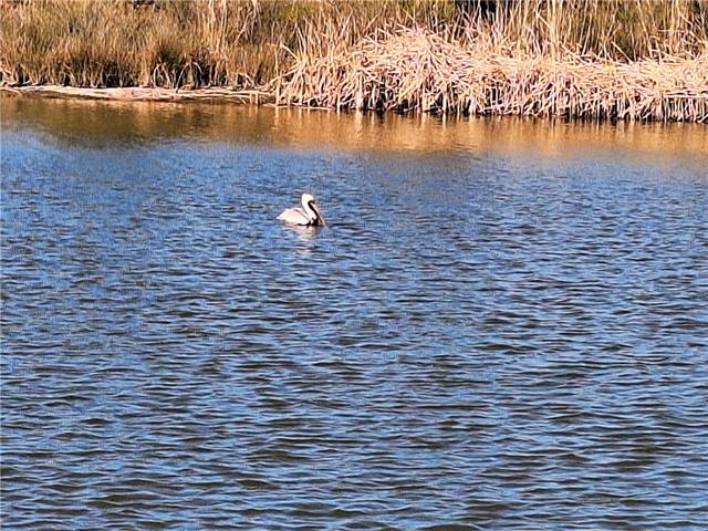 53337 HIGHWAY 433 Highway, Slidell, LA 70461