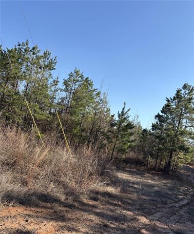 62.71 Acres HWY 120 Road, LA 71428