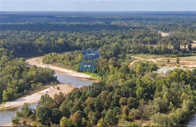 Lot 65 THE BANKS DRIVE - HWY 16 Highway, Franklinton, LA 70438