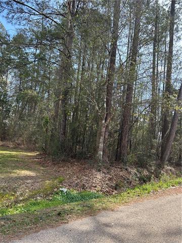 60312 CERISE Drive, Lacombe, LA 70445