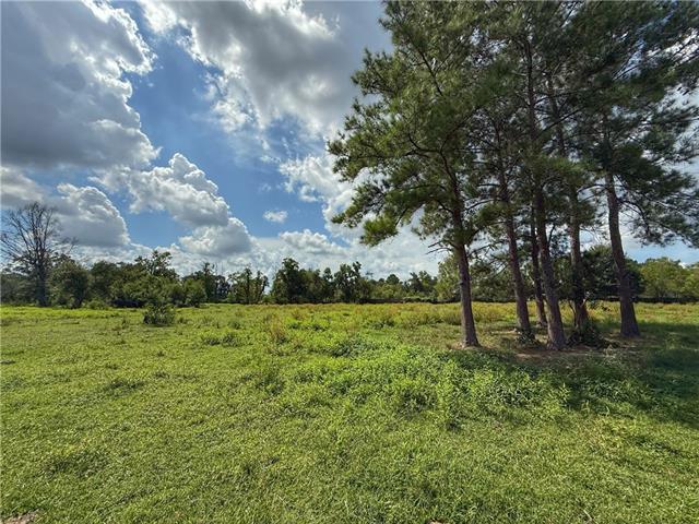 43058 HAPPYWOODS Road, Hammond, LA 70403