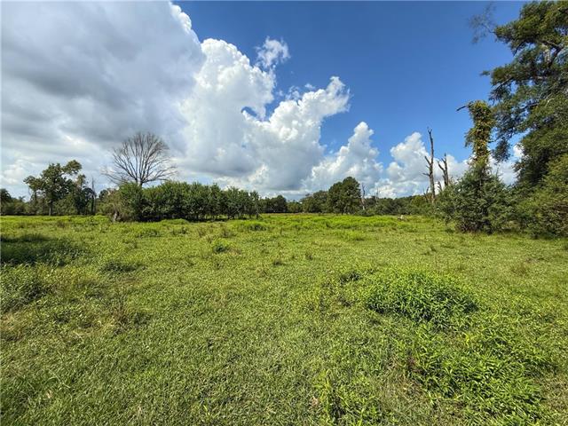 43058 HAPPYWOODS Road, Hammond, LA 70403