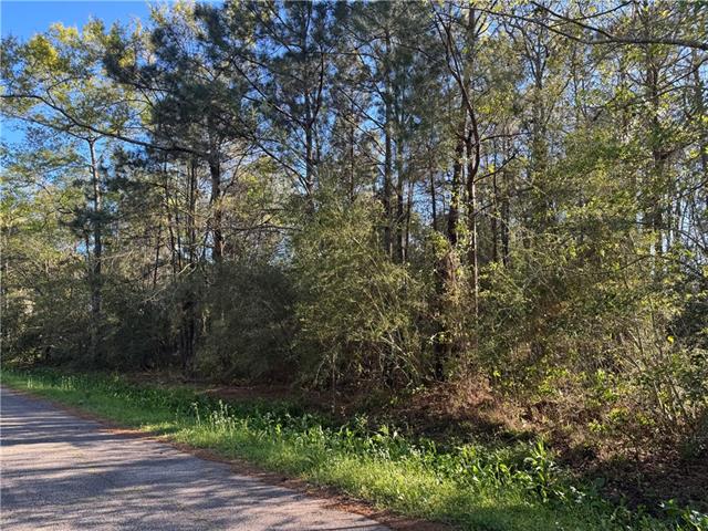 Lot 4A Bayou Oa CLAIBORNE ST Street, Slidell, LA 70460