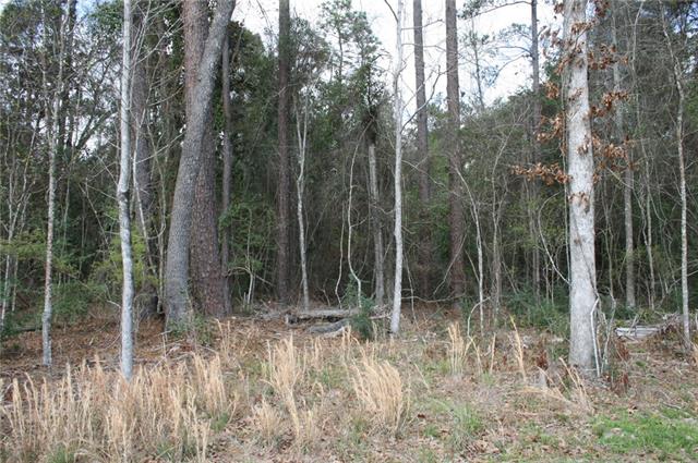 21149 LITTLE RIVER Court, Covington, LA 70435