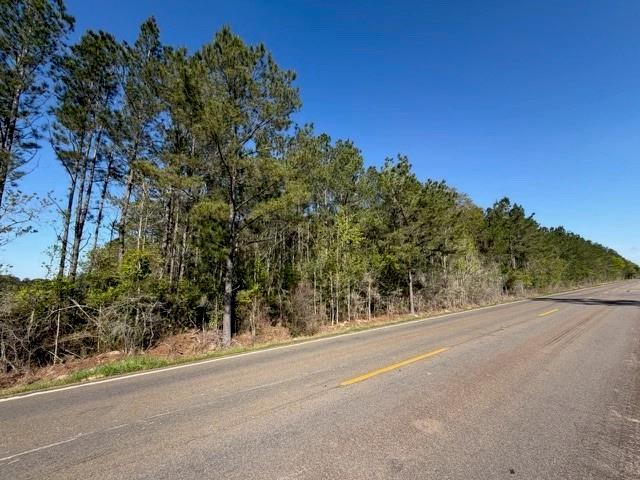 HIGHWAY 1063, Independence, LA 70443