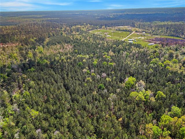LA 40 WEST Highway, Independence, LA 70443