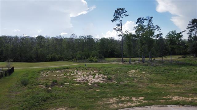 TBD CYPRESS Cove, Springfield, LA 70462