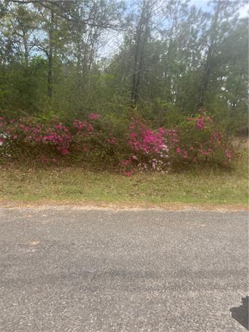 0 IAN JOHNSON Road, Otis, LA 71466