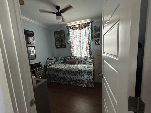 Photo 21