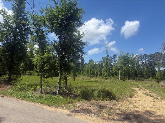 39667 SCHOOL SECTION Road, Ponchatoula, LA 70454