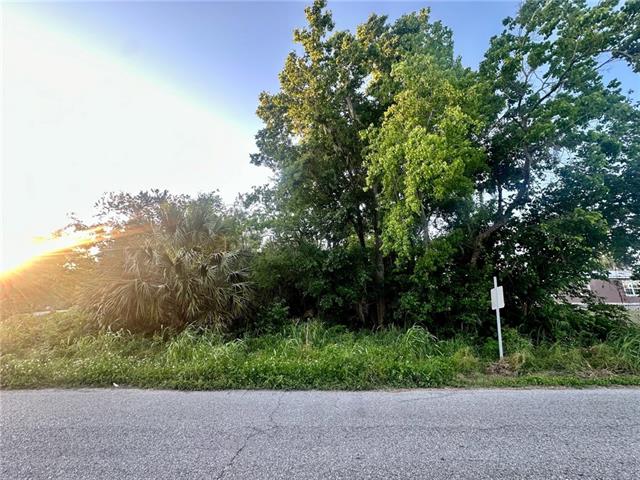 OAK Drive, Lafitte, LA 70067