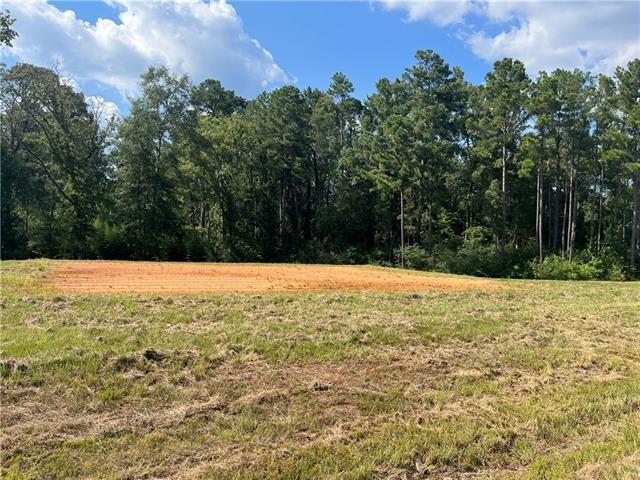 Lot 22 ARCHIE Drive, Dry Prong, LA 71423