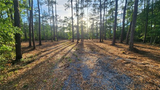 28102 MARIA Drive, Lacombe, LA 70445