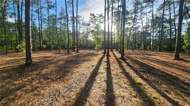 28102 MARIA Drive, Lacombe, LA 70445