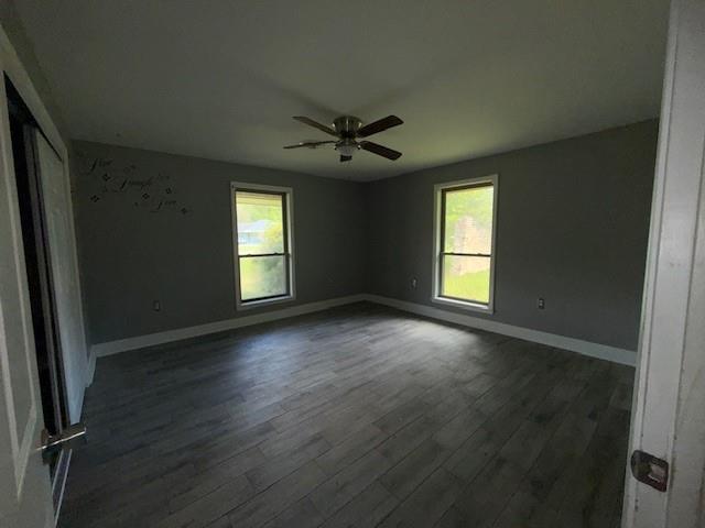 Photo 31