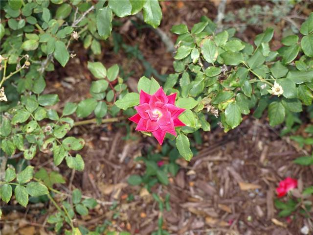 Photo 32