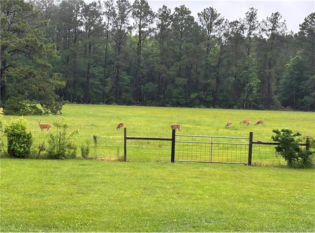 Photo 57