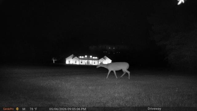 Photo 42