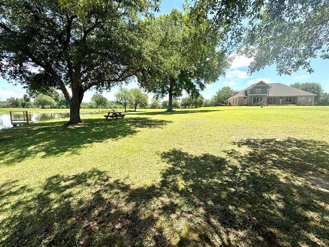 Photo 55