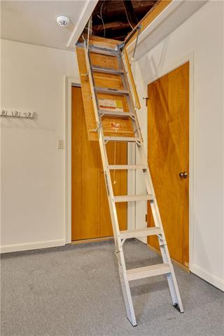 Photo 51