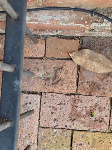 Photo 27