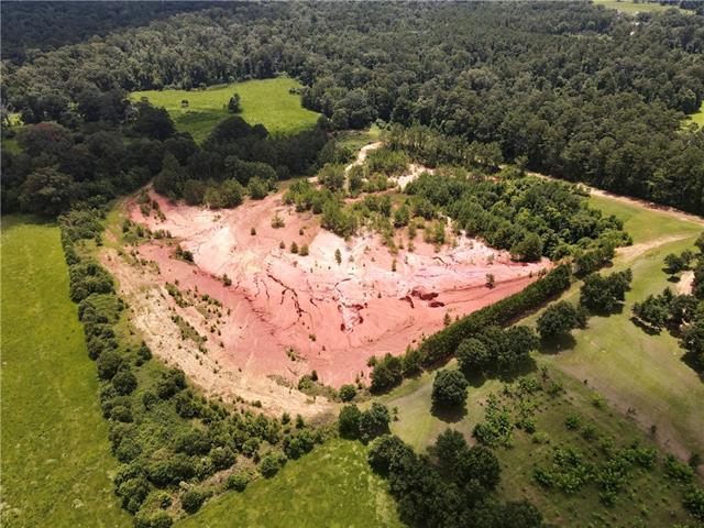 VIRGIL WHITE 20ACRE Lane, Loranger, LA 70446
