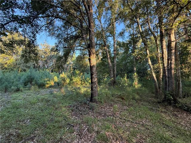 28317 PALMER Drive, Lacombe, LA 70445